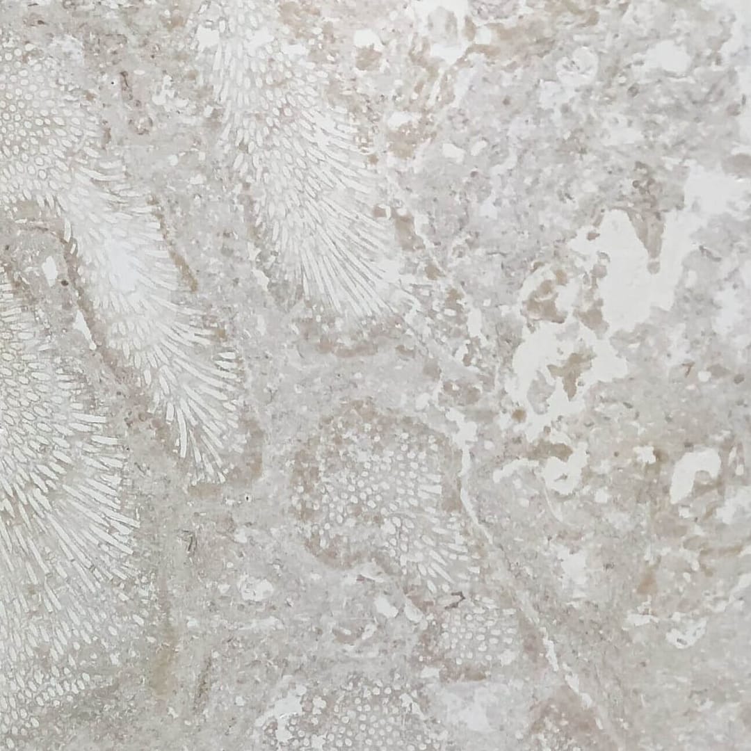 Atlantic Coral Stone Filled Honed