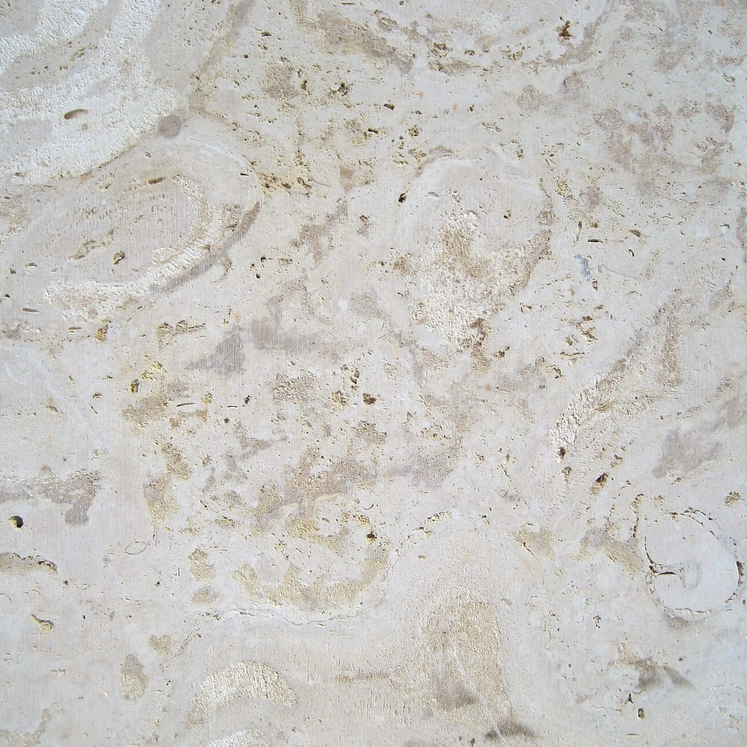 Atlantic Coral Stone Saw Cut
